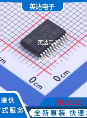 BL6503S 原装正品 SSOP-24-208mil