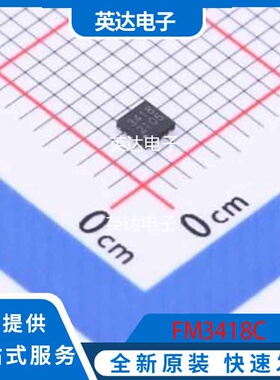 FM3418C 原装正品 QFN-14-EP(2x2)