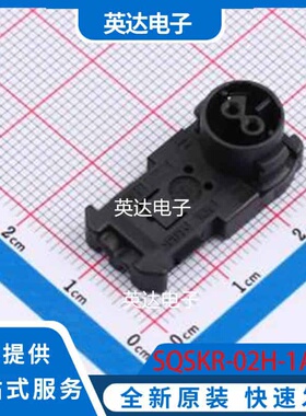 SQSKR-02H-1A-K - 原装正品