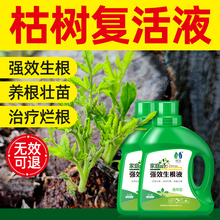 大树生根液枯树再生复活液树木移栽壮苗剂植物通用型营养液激活液