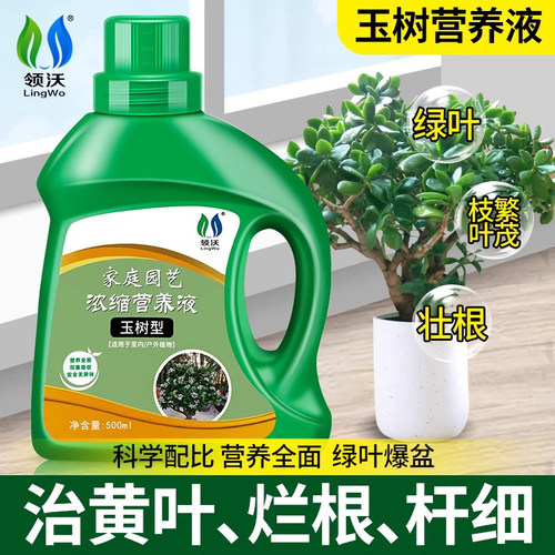 领沃玉树营养液防黄叶治黑斑通用