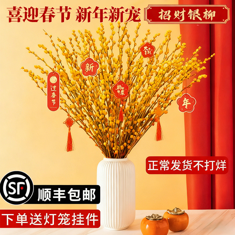 银柳真花鲜枝黄色干花喜庆年宵花