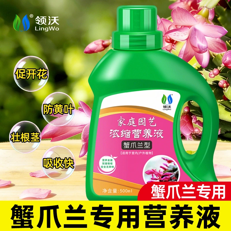 蟹爪兰专用营养液促开花防黄叶花肥家用盆栽物通用型花卉绿植肥料,鲜花速递/花卉仿真/绿植园艺,家庭园艺肥料,淘宝优惠券,粉丝福利购,淘宝优惠卷