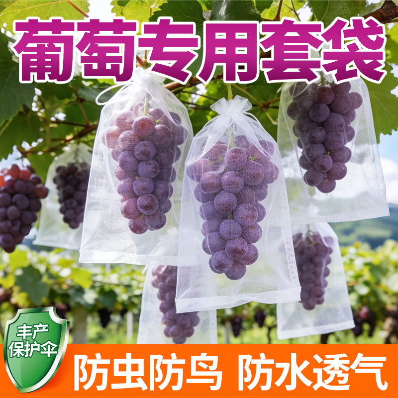 葡萄专用水果套袋防虫防鸟图片