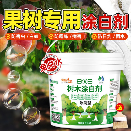 免稀释果树专用涂白剂防冻寒防虫