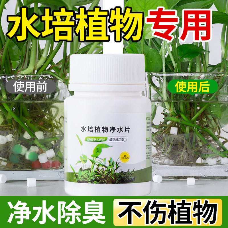 净水片鱼缸水培植物专用澄清澈净化水质除臭去腥杀菌消毒除藻通用,鲜花速递/花卉仿真/绿植园艺,家庭园艺肥料,淘宝优惠券,粉丝福利购,淘宝优惠卷