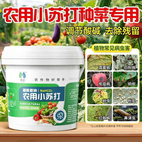 农用小苏打种菜除虫杀菌增产