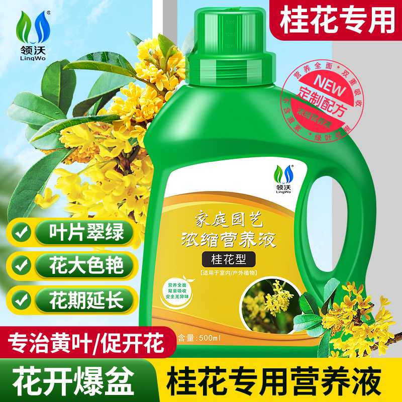 桂花专用营养液四季通用绿植通用