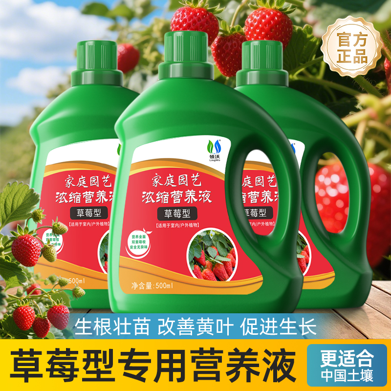 草莓专用营养液植物液体肥料家用