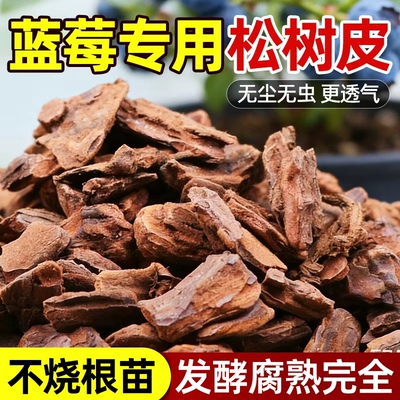 松树皮植物花卉通用不生虫无异味
