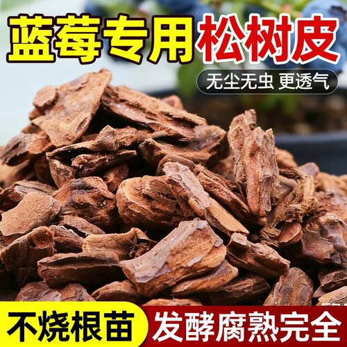 松树皮植物花卉通用不生虫无异味