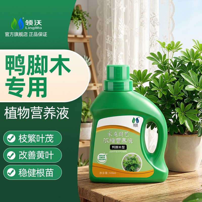 鸭脚木专用营养液八方来财鹅掌木家用大盆栽老桩绿植无机肥液体肥