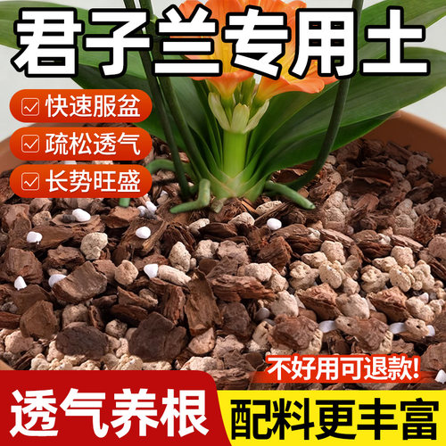 君子兰专用土不易生虫松树皮发酵