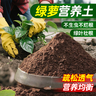 绿萝营养土养花通用专用花土家用盆栽种菜种花用的疏松土壤种植土