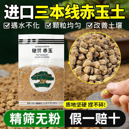 领沃日本进口三本线赤玉土盆景用