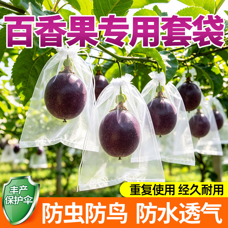 百香果套袋防虫袋保护套水果通用防鸟透光透气尼龙网袋经久耐用 - 实物图