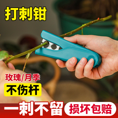 玫瑰花打刺钳鲜花月季专用去刺器