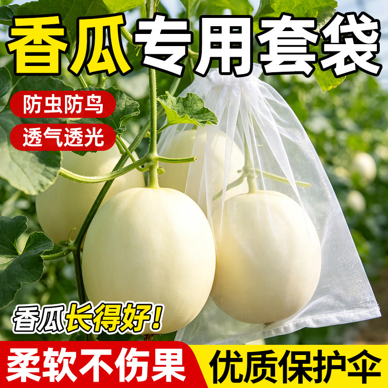 香瓜套袋专用甜瓜防虫袋保护套水果防鸟羊角蜜透光透气尼龙网纱袋
