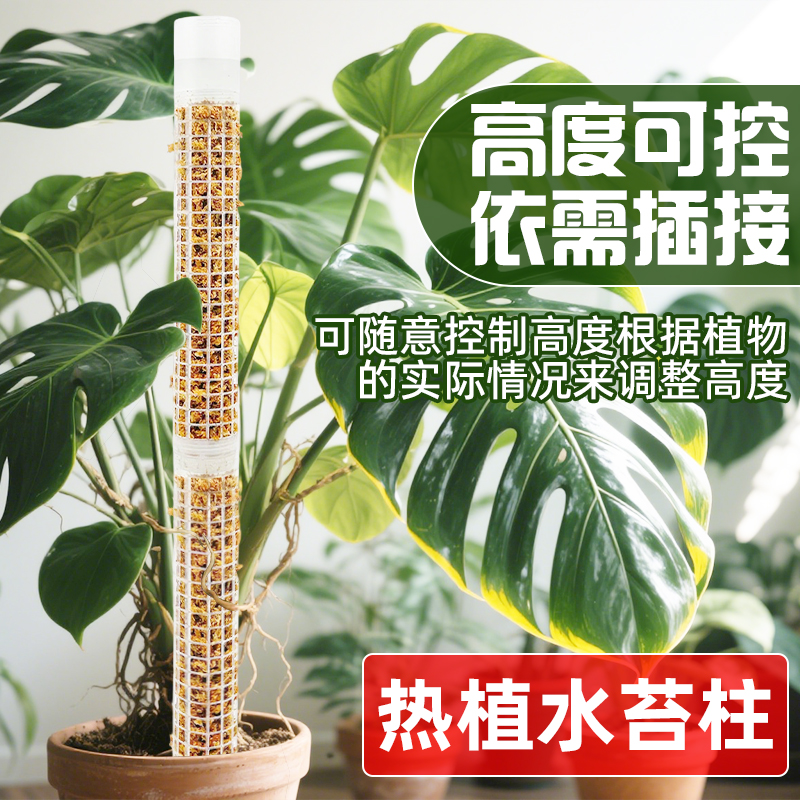 水苔柱爬藤植物专用新型加厚加粗