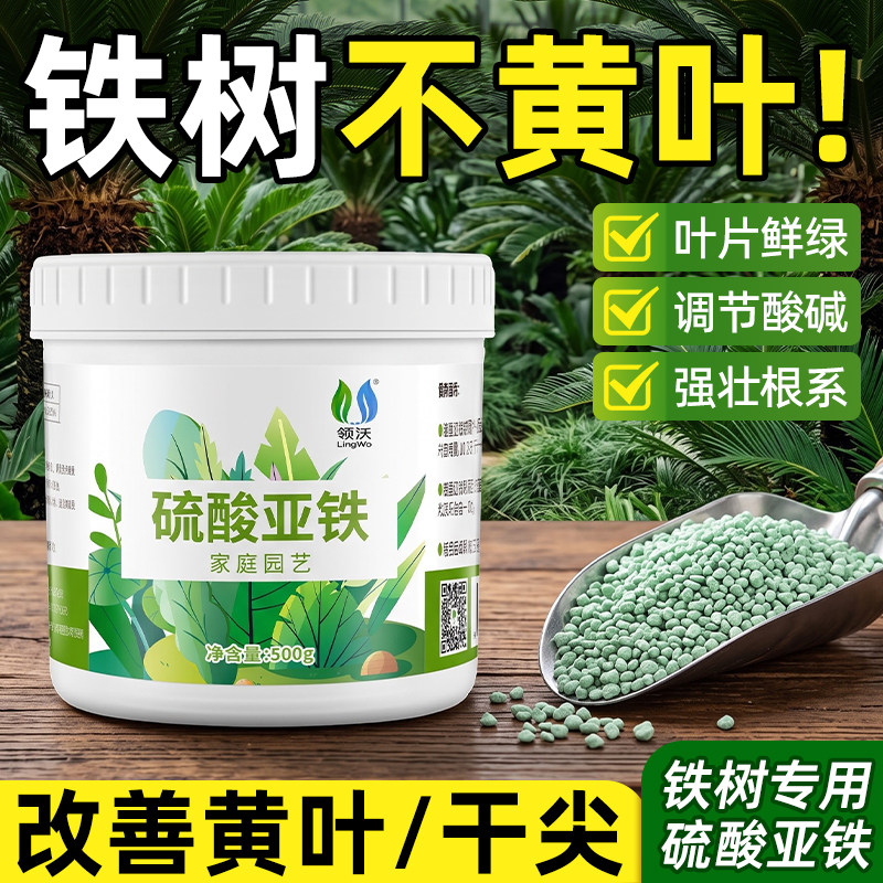 铁树专用肥料硫酸亚铁治铁树黄叶干尖喜酸植物盆栽通用助增长肥料