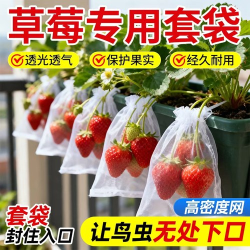 纱网葡萄桃子神器草莓套袋专用袋