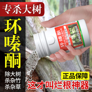 大树烂根药枯树王25%液体环嗪酮灭树灌木竹子枯草专用除草烂根剂