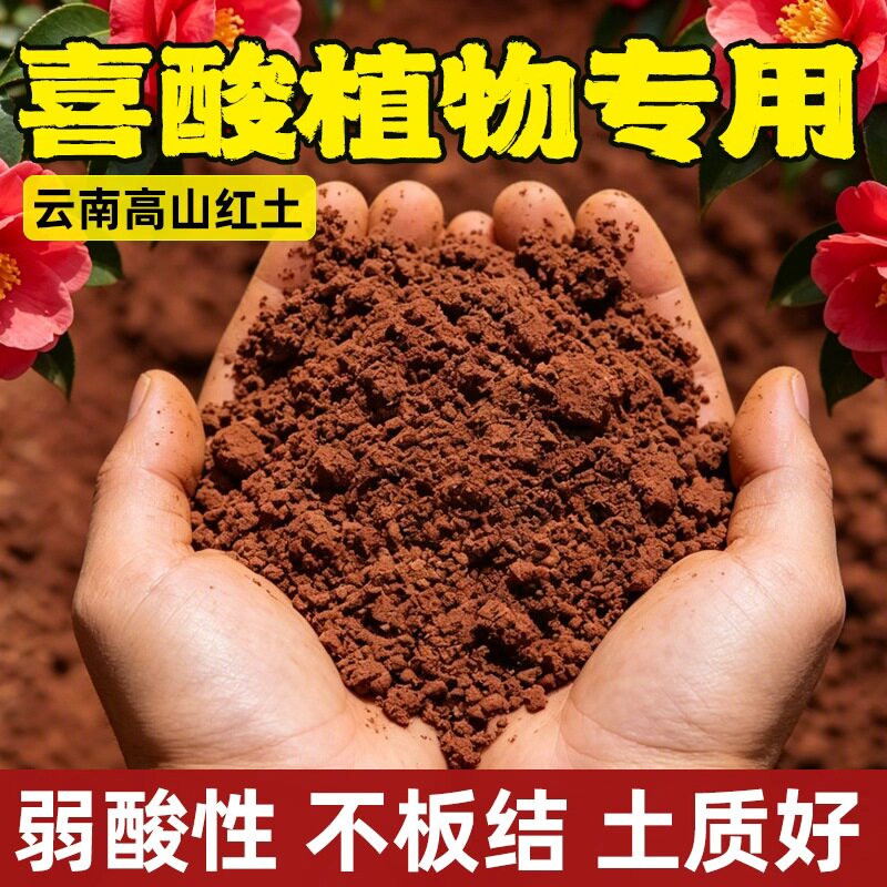 红泥红土酸性土天然云南茉莉栀子花茶花专用土阳台盆栽种花土园艺