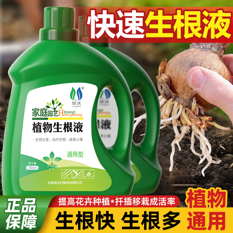 领沃生根液植物通用强力生根药剂