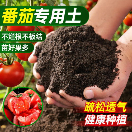 番茄专用营养土疏松透气肥力旺盛