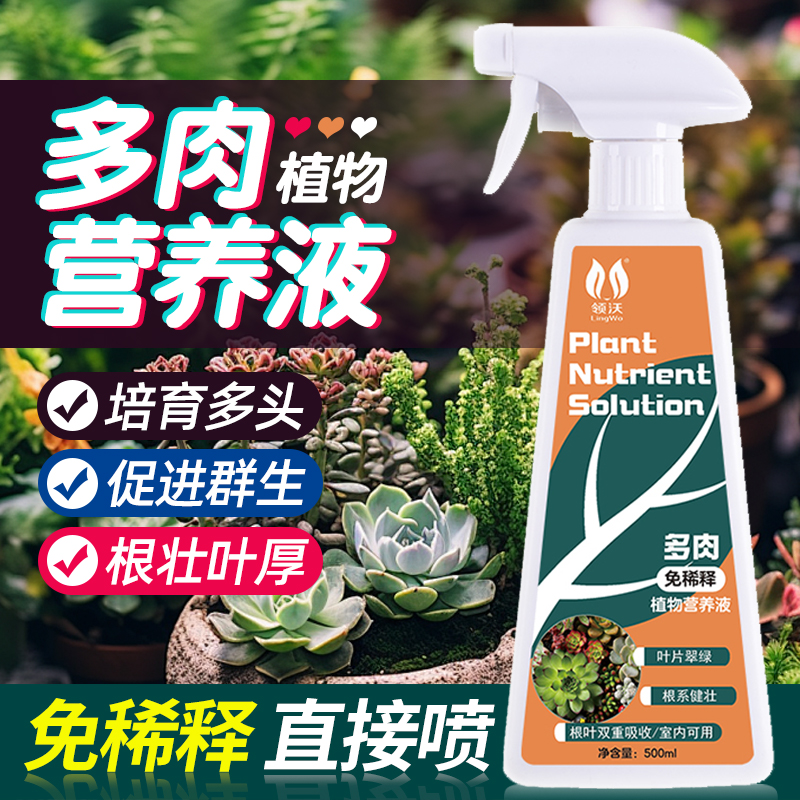 领沃多肉专用营养液上色生根肥料