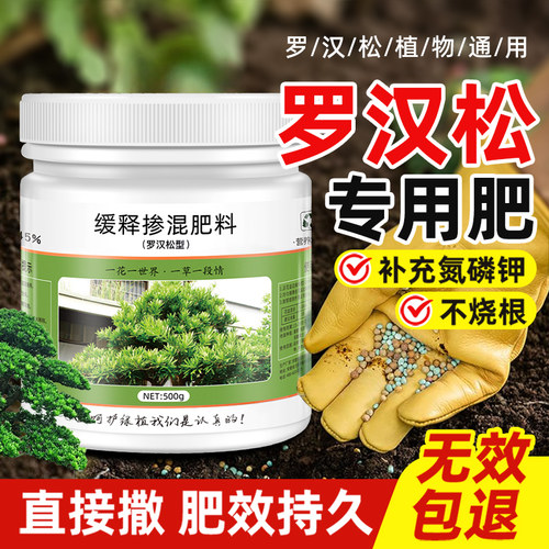 领沃罗汉松缓释肥通用颗粒复合肥