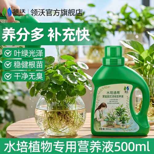 水培植物专用营养液改善黄叶壮根