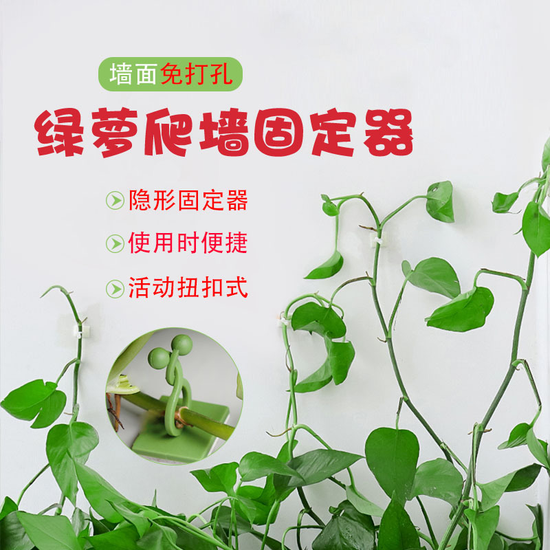 爬墙神器固定扣环无痕绿植