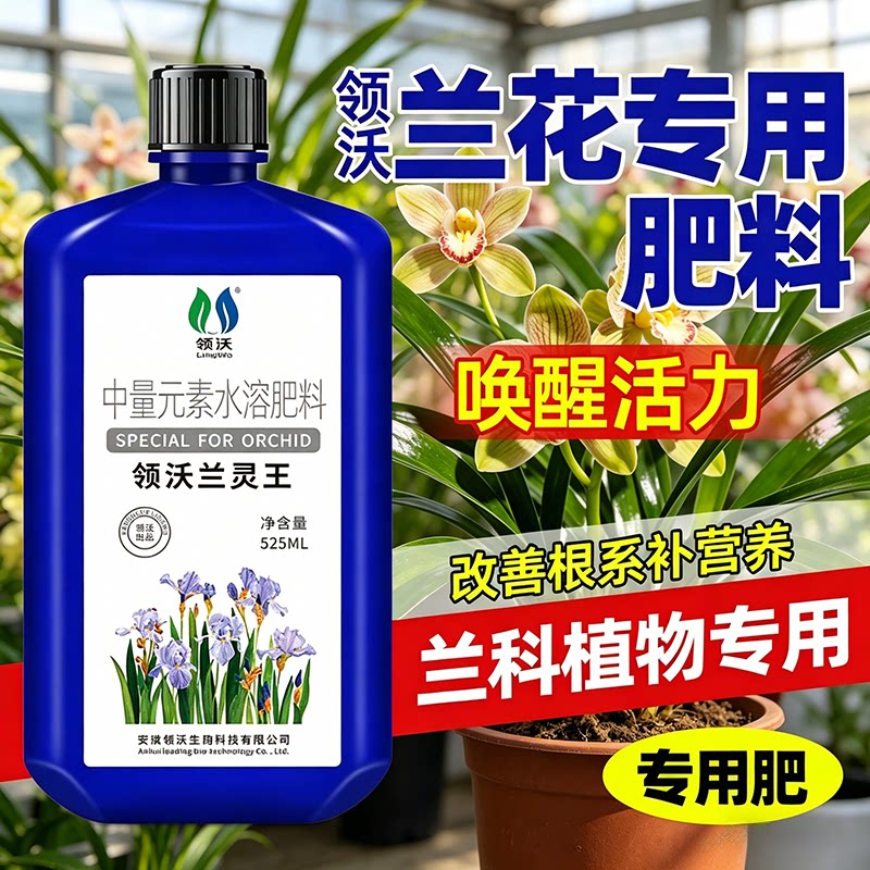 兰花专用肥料兰灵王营养液正品图片