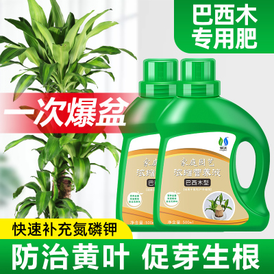 巴西木肥料专用营养液植物通用型