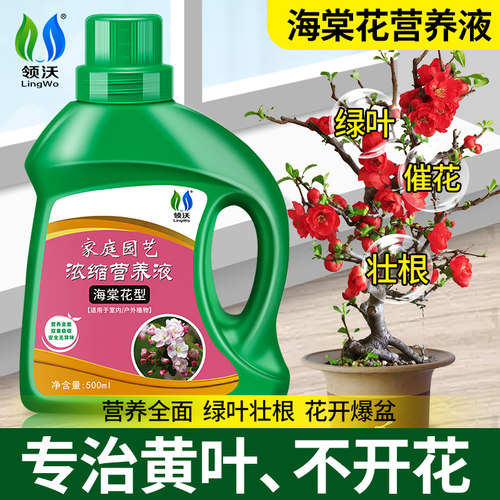 领沃海棠花营养液治干叶急救花肥