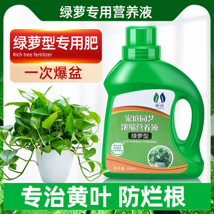 绿萝营养液专用肥绿箩营业液绿罗肥料家用植物花肥盆栽土培水培用