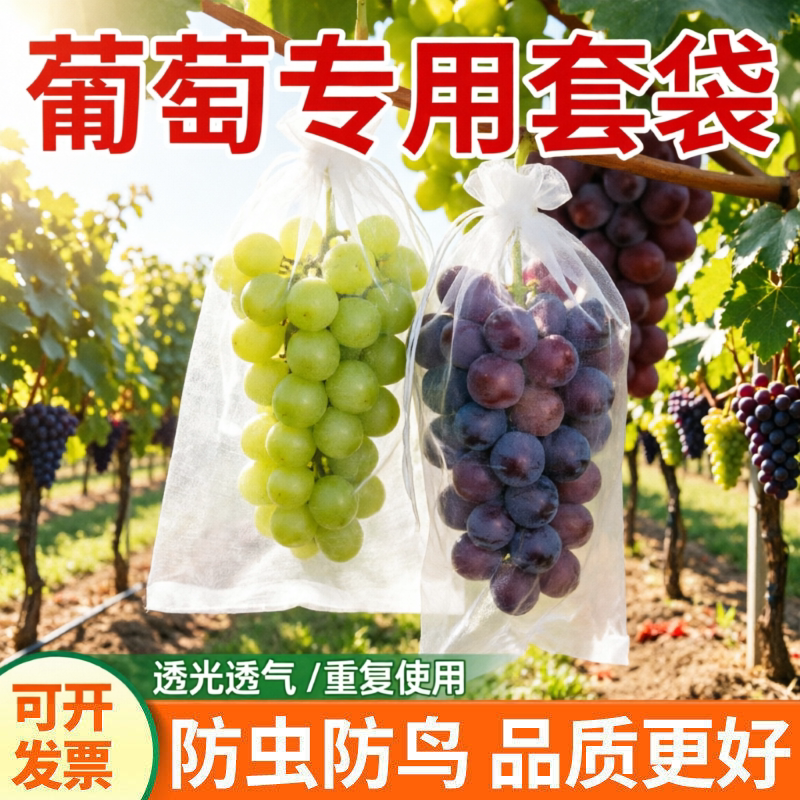 葡萄阳光玫瑰加厚防虫防鸟套袋图片