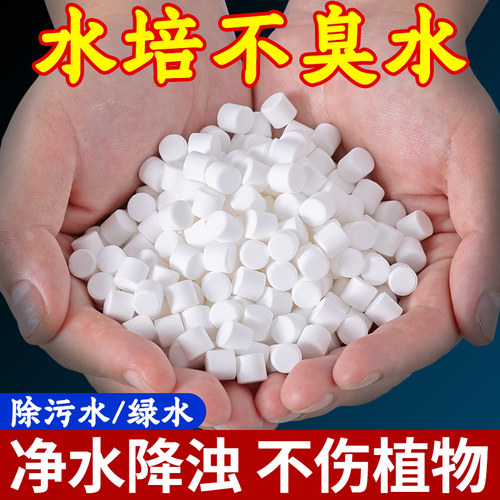 水培植物净水片净化水质植物保鲜