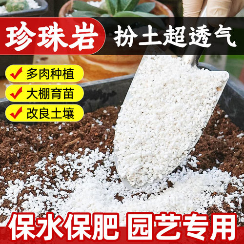 硬质珍珠岩无粉尘兰花养花专用型