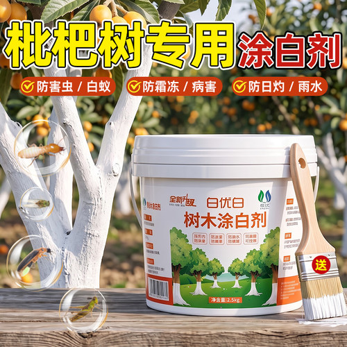 枇杷树专用涂白剂抗寒防冻防虫