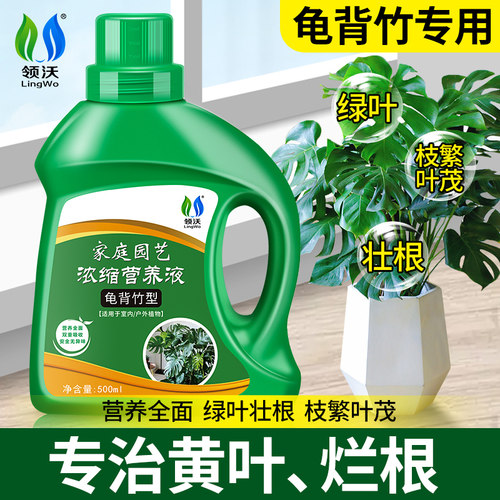 龟背竹专用肥料龟背竹专用营养液