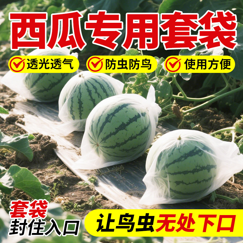 西瓜套袋专用防虫防鸟透气透光瓜果蔬菜通用型网袋防果蝇神器露天