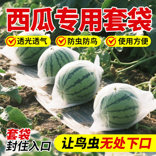 领沃西瓜套袋瓜果防虫防鸟防果蝇
