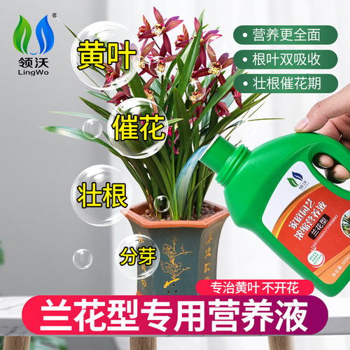 领沃兰花专用型肥料绿叶促进开花
