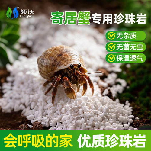 珍珠岩寄居蟹专用冬眠土窝过冬盒