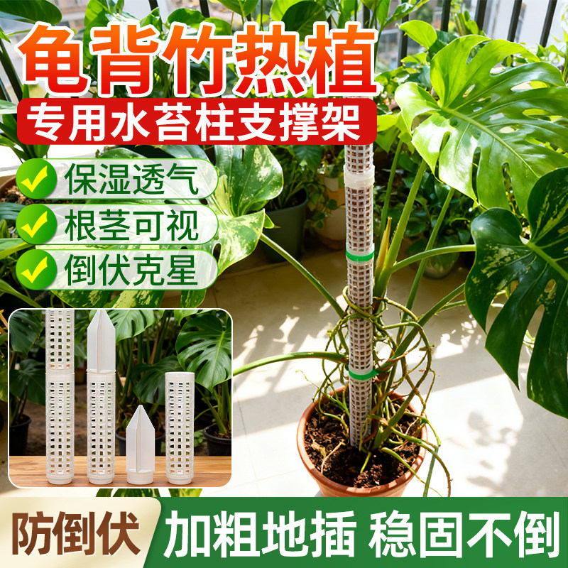 水苔柱爬藤植物专用新型加厚加粗图片