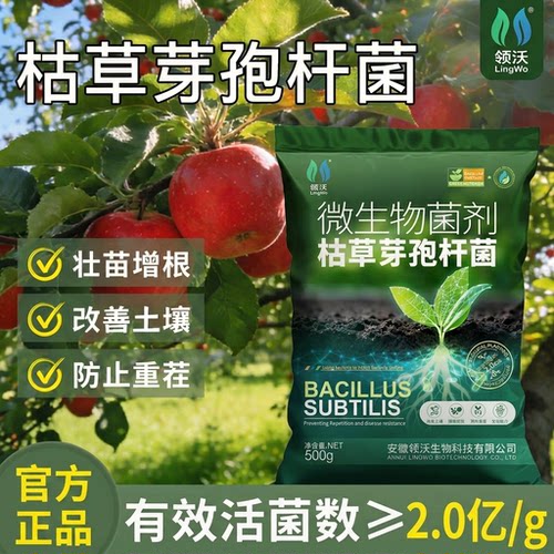 枯草芽孢菌杆菌正品微生物菌剂肥