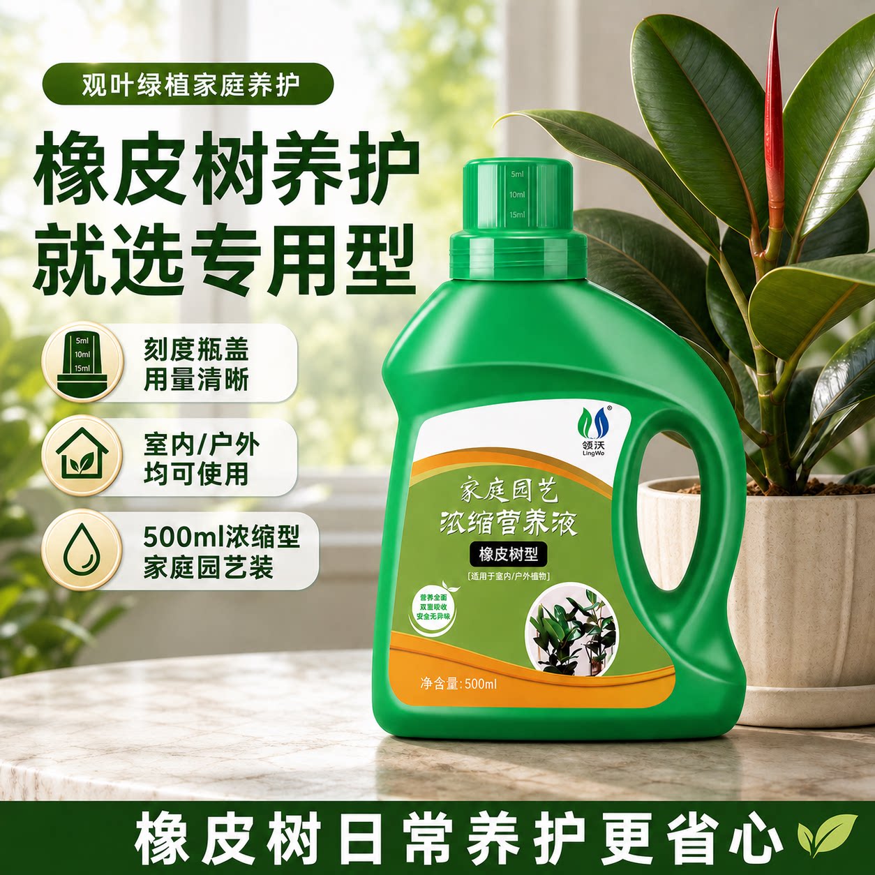 领沃橡皮树营养液可治黄叶防烂根图片