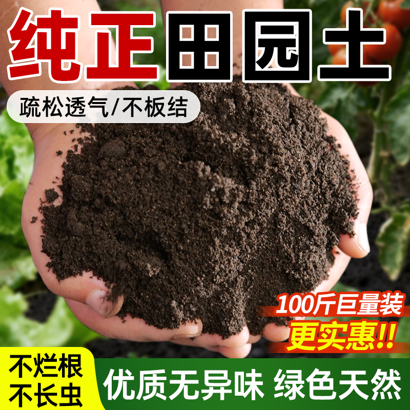 优质田园土养花种菜专用天然沙土